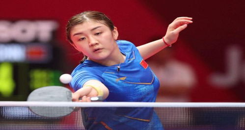 02公斤级 02公斤级