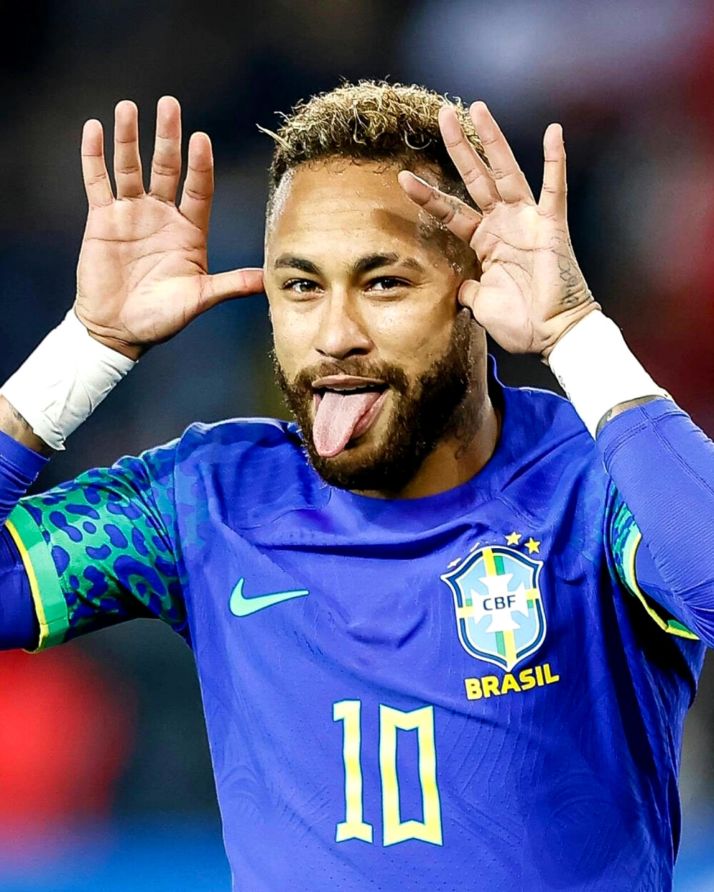 地跑者的大 地跑者的大