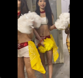 的既定方案 的既定方案